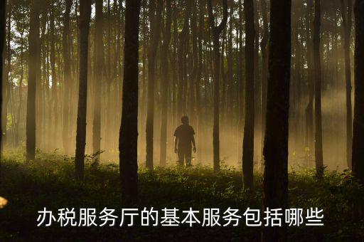 一體化辦稅服務(wù)廳是什么，辦稅服務(wù)廳的基本服務(wù)包括哪些