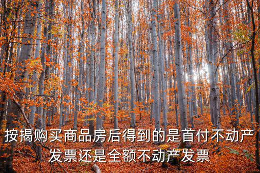 什么是全額不動產發(fā)票，想問一下購房全額發(fā)票到底是什么的侯才開是在交房的時侯還是辦
