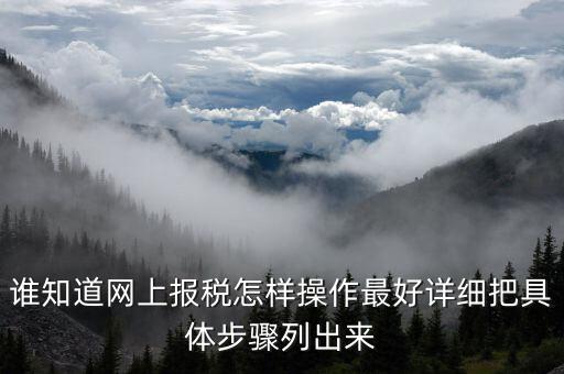 成品油消費稅在什么系統(tǒng)申報，請教網(wǎng)上報稅步驟謝謝大家了