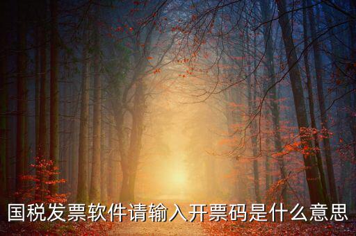 開票二維碼是什么軟件，天津國(guó)稅通用機(jī)打發(fā)票二維碼包含的內(nèi)容解碼軟件