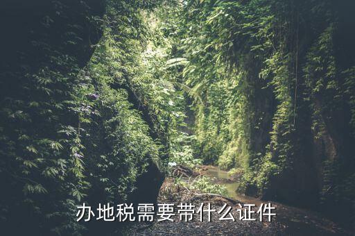 國稅地稅證件什么手續(xù)，辦理國稅地稅需要那些手續(xù)