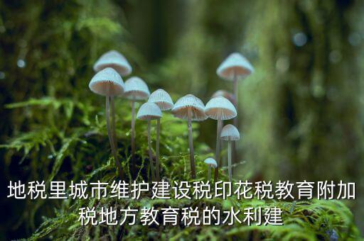 水利建設基金的計稅基礎(chǔ)是什么，計稅基礎(chǔ)是什么意思
