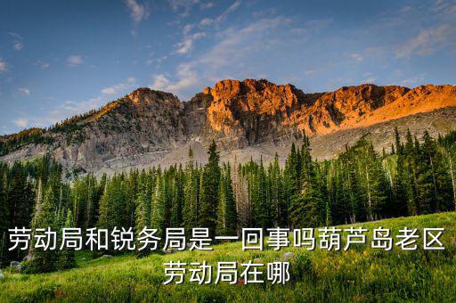 銳務局是辦什么業(yè)務的，勞動局和銳務局是一回事嗎葫蘆島老區(qū)勞動局在哪