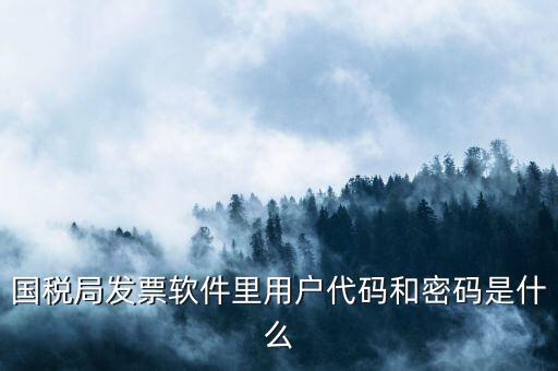 網(wǎng)上認(rèn)證發(fā)票平臺(tái)密碼是什么樣的，國(guó)稅局發(fā)票軟件里用戶代碼和密碼是什么