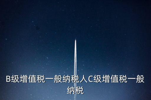 納稅用戶c級(jí)企業(yè)是什么意思，B級(jí)增值稅一般納稅人C級(jí)增值稅一般納稅