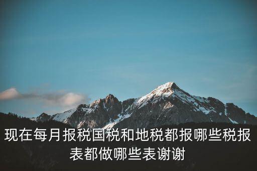 國稅報什么，現(xiàn)在每月報稅國稅和地稅都報哪些稅報表都做哪些表謝謝