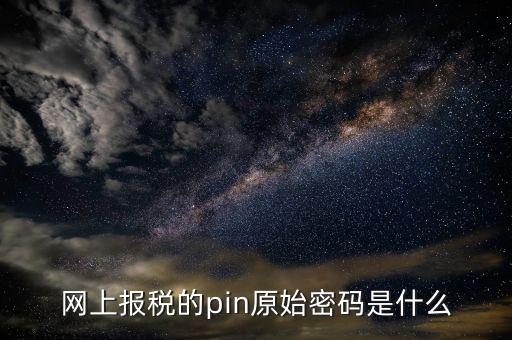 國(guó)稅什么叫pin碼，機(jī)構(gòu)代碼的ca證書(shū)的PIN碼是什么我用CA證書(shū)登陸國(guó)稅時(shí)提示詳細(xì)