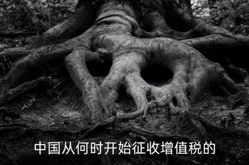 什么時(shí)候征收增值稅，批發(fā)零售業(yè)增值稅征收率什么時(shí)間開始為3