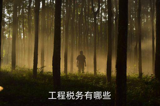 稅務(wù)三代項目是什么，通常說的三稅是指什么啊