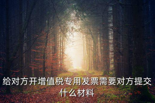 開專票要什么資料，加油卡開增值稅專用發(fā)票需要什么資料