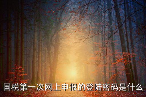 網(wǎng)上稅稅通密碼是什么，國稅第一次網(wǎng)上申報的登陸密碼是什么