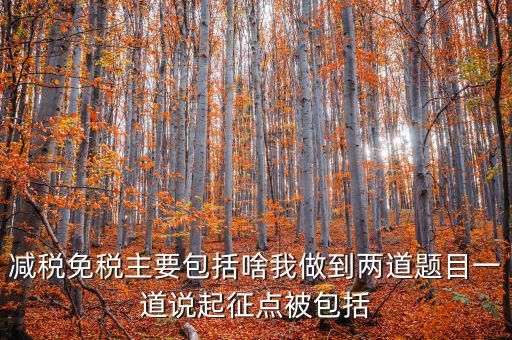 什么是減稅免稅，什么是稅收法定減免