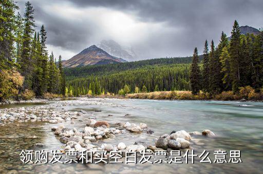 領(lǐng)取空白發(fā)票需要什么用，領(lǐng)用增值稅發(fā)票的時候內(nèi)開的空白發(fā)票要帶嗎