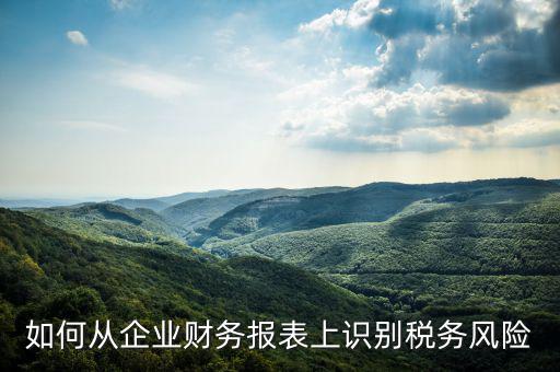稅務風險核查是什么意思，虛開增值稅專用發(fā)票核查 什么意思