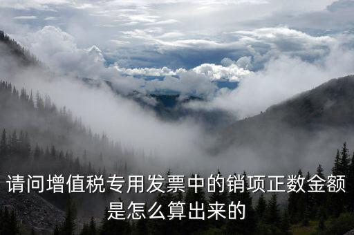 銷項正數(shù)金額是什么意思，銷項正數(shù)金額銷項負(fù)廢金額銷項負(fù)數(shù)金額是什么意