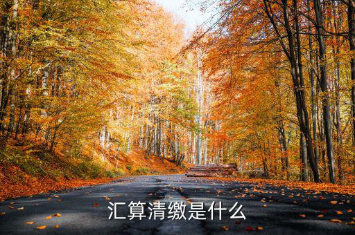 匯算清繳查賬都查什么，稅務(wù)局要對我司進(jìn)行匯算清繳后的查帳包括費(fèi)用帳成本帳往來帳