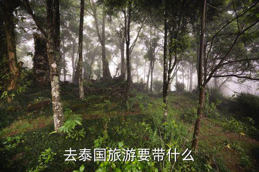 稅務(wù)局的信仰是什么，道德模范有哪些