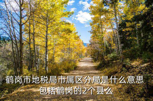片區(qū)稅務(wù)分局是什么，陽(yáng)宗海片區(qū)屬于哪個(gè)稅務(wù)局