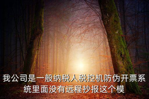 我公司是一般納稅人稅控機防偽開票系統(tǒng)里面沒有遠程抄報這個模