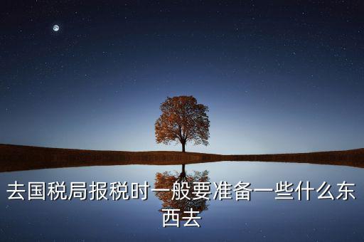 去國稅局都是帶什么東西，去國稅定稅要帶哪些東西啊我暈倒了以前從來沒定過