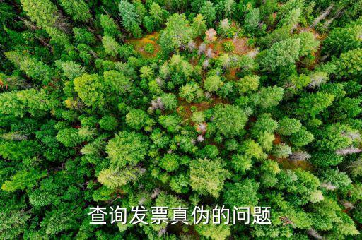 查發(fā)票真假為什么，查詢發(fā)票真?zhèn)蔚膯?wèn)題