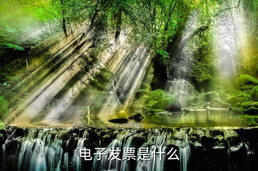 電子發(fā)票單位是什么樣的，什么叫電子發(fā)票