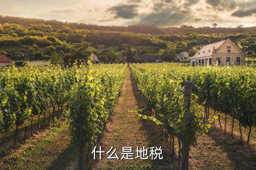 地稅和什么有關(guān)，什么是地稅