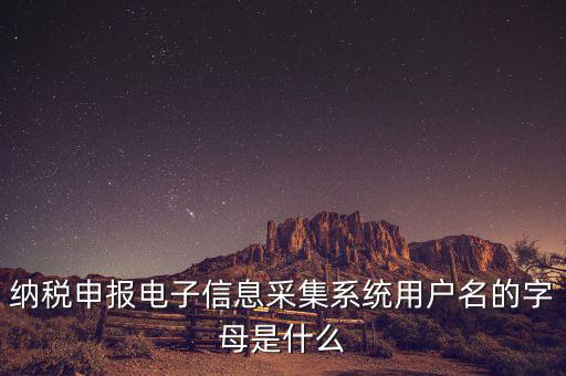 納稅人用戶編號(hào)是什么，地稅的用戶名是什么