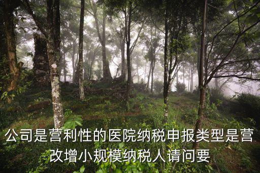 營改增醫(yī)院用什么發(fā)票，營改增認(rèn)定的一般納稅人使用什么發(fā)票