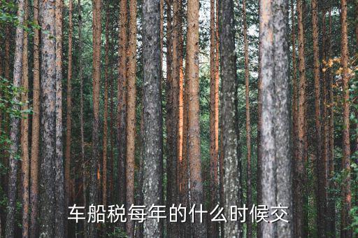 車船稅從什么時間交，車船稅什么時候交比如要交2017年的是2016年12月31日前交還是