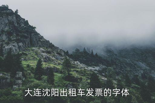 大連停車場(chǎng)發(fā)票什么樣，大連增值稅普通發(fā)票真?zhèn)卧趺床樵?/></a></span><span id=