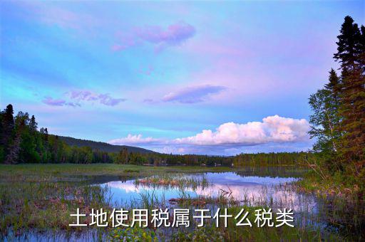 土地使用稅是放在什么類別里的，土地使用稅屬于什么稅類