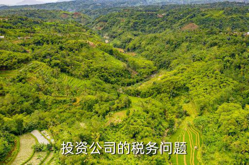 投資公司需要交什么稅，投資公司修建寺院需要上稅嗎上什么稅種