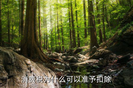 外購的汽油柴油消費稅為什么可抵扣，cpa稅法中15年真題外購汽油90用于公司運送旅客可以抵扣90