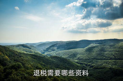 退抵稅都需要什么資料，退抵稅款申請需要什么資料