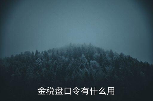 報(bào)稅數(shù)字證書口令是什么，陜西天暢偉業(yè)的網(wǎng)上報(bào)稅系統(tǒng)的登錄口令是什么