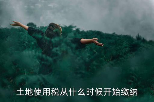 城鎮(zhèn)土地使用稅什么時候交，房地產(chǎn)開發(fā)企業(yè)繳納城鎮(zhèn)土地使用稅的時間是多久