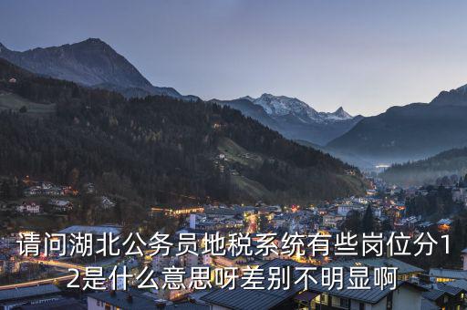 地稅上線是什么意思，0801國(guó)稅地稅啥意思