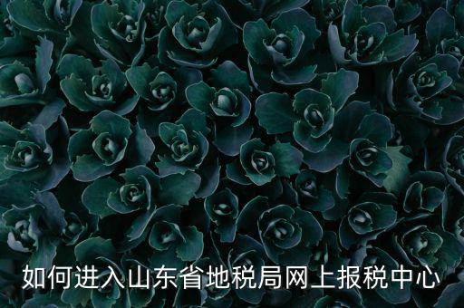 山東地稅密碼是什么，我在山東地稅網(wǎng)上報稅密碼怎么查