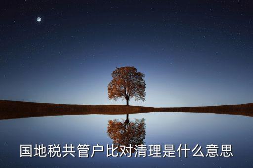 什么是國地稅共管，國稅地稅共管公司都需要每個月報稅嗎意思就是說我每個月地稅