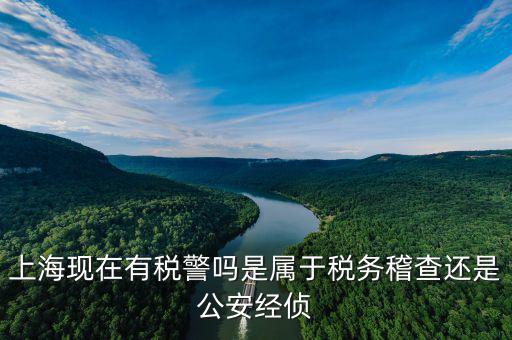 稅警機(jī)制辦公室干什么，上?，F(xiàn)在有稅警嗎是屬于稅務(wù)稽查還是公安經(jīng)偵