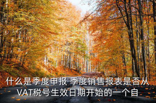 什么是季度申報表，有關企業(yè)申報的季度報表