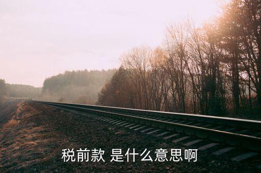 什么是稅前項目費(fèi)，稅前款 是什么意思啊