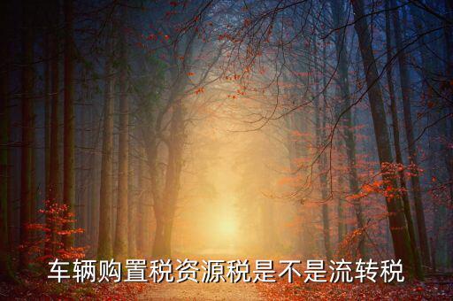 資源稅改革是什么，資源稅是地稅還是國稅