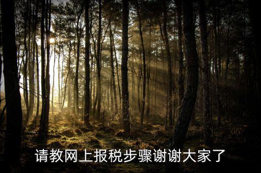 請教網上報稅步驟謝謝大家了
