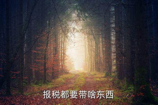 大連國稅局報稅帶什么東西，報稅都要帶啥東西