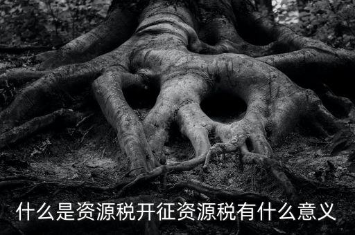 為什么開證資源稅，什么是資源稅開征資源稅有什么意義