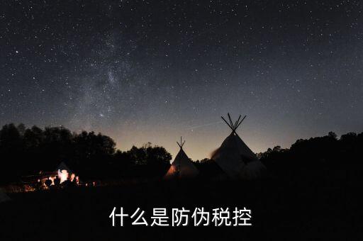 防偽稅控盤什么，什么是防偽稅控