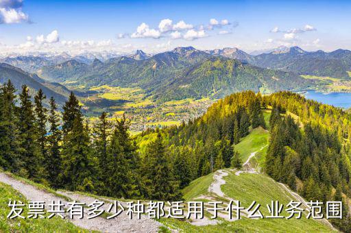 什么業(yè)務(wù)應(yīng)該專業(yè)發(fā)票，單位收費(fèi)開票1定要專業(yè)的