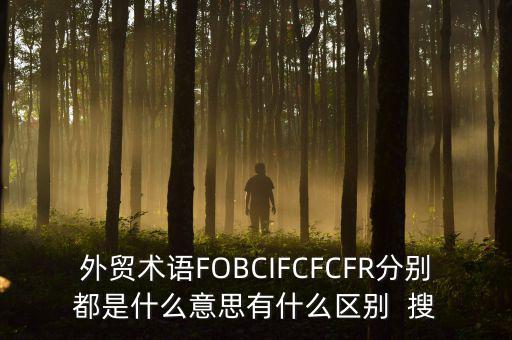 什么是被指定國(guó)別報(bào)告，什么是SGS